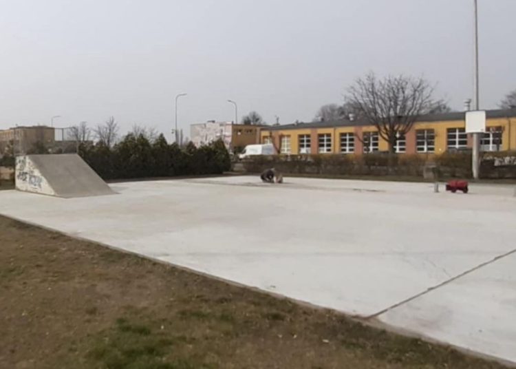 Słupecki skatepark do remontu