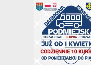 Za darmo będziesz mógł jeździć po Słupcy i Strzałkowie. Zobacz ROZKŁAD JAZDY