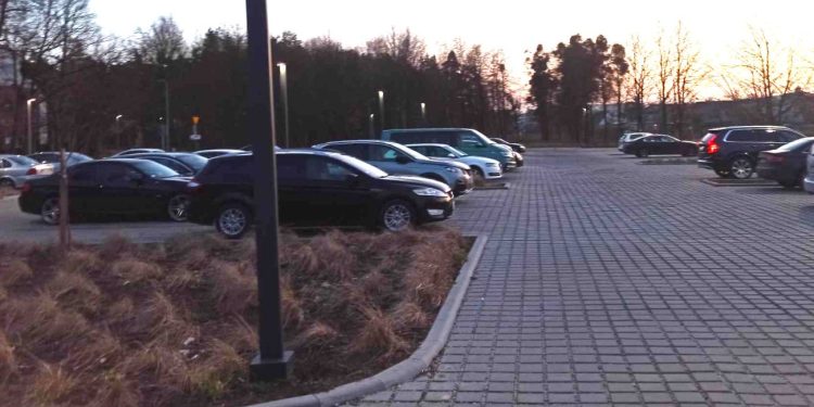 Coraz więcej ludzi nad jeziorem. Radny zwraca uwagę na problem