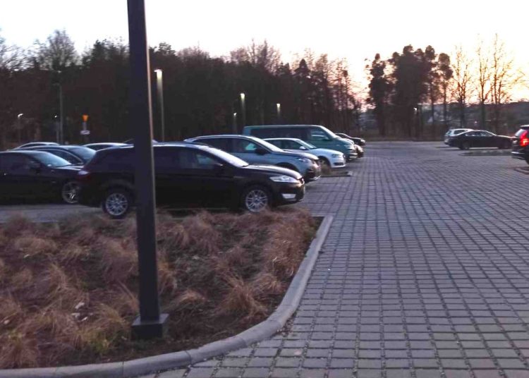 Coraz więcej ludzi nad jeziorem. Radny zwraca uwagę na problem