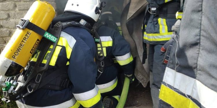 Szkolą się nasi druhowie