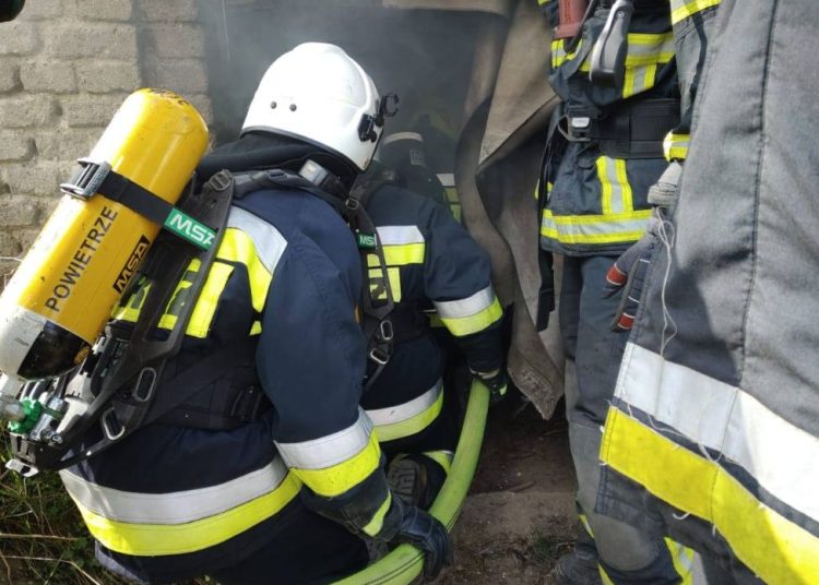 Szkolą się nasi druhowie