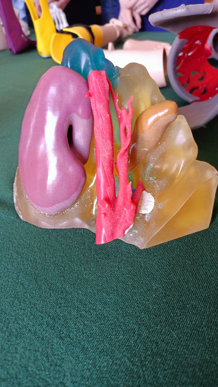 Pierwsze seminarium naukowe w LO Słupca