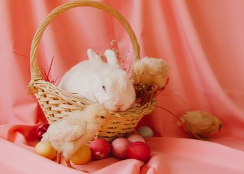 Co włożyć do koszyczka wielkanocnego? Praktyczny poradnik