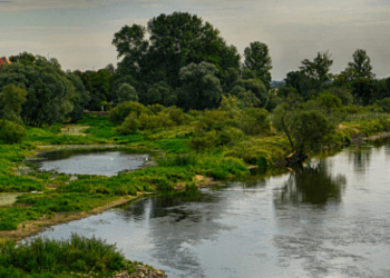 LGD Stowarzyszenie „Unia Nadwarciańska” i LSR – cele, zasady i procedury dofinansowania