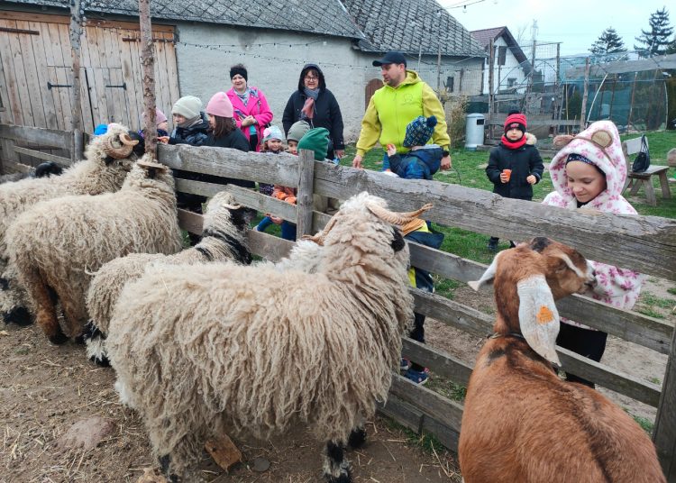 Koszuty w Poniatówku