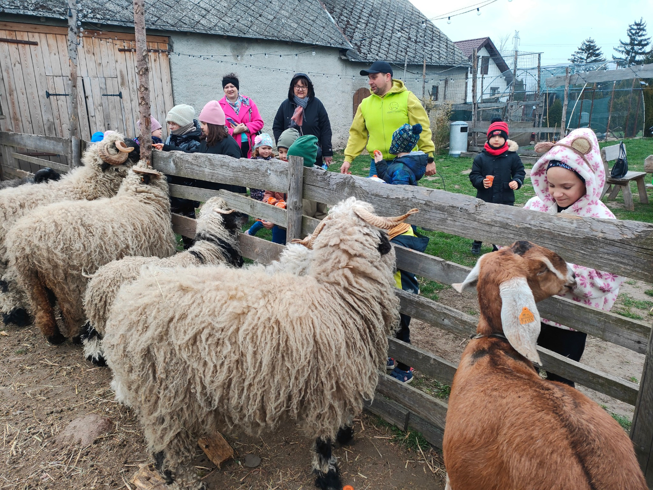 Koszuty w Poniatówku