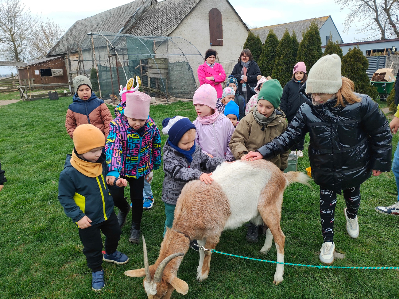 Koszuty w Poniatówku