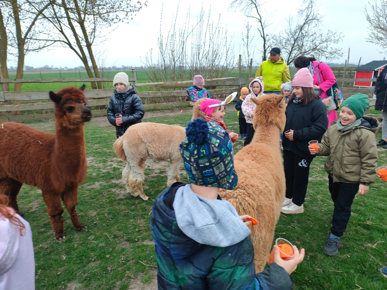 Koszuty w Poniatówku