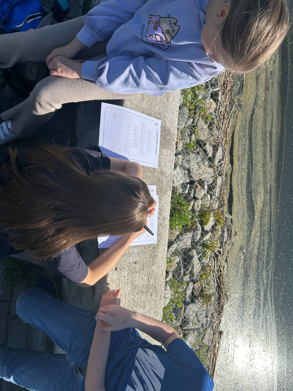 Niepubliczna Szkoła Podstawowa z Oddziałami Integracyjnymi w Piotrowicach