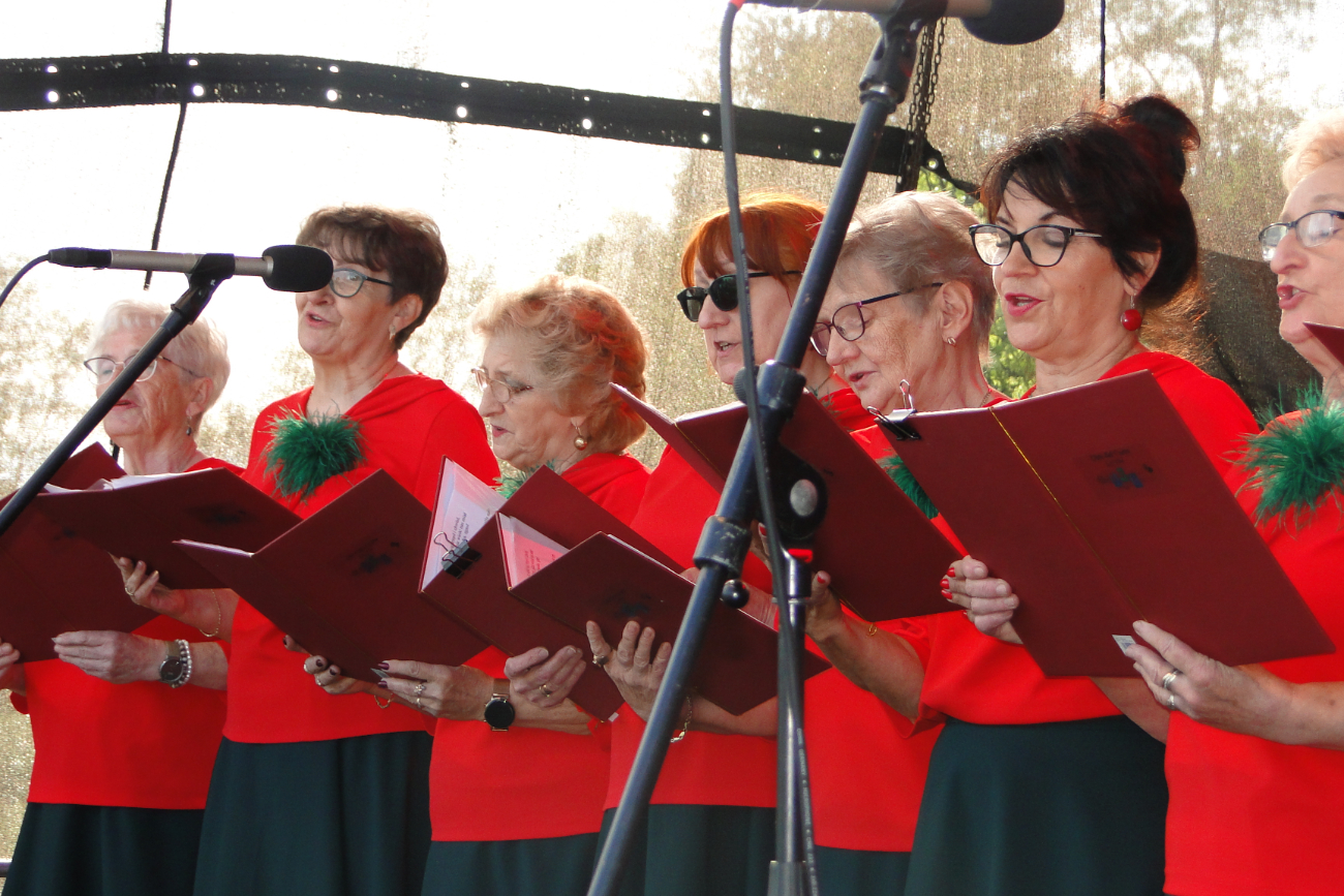 Majówka z Gminą Lądek. Zobacz zdjęcia