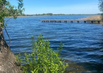 Chorobotwórcze bakterie w Jeziorze Słupeckim