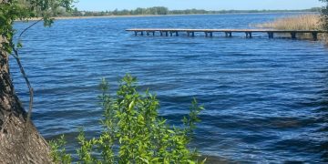 Chorobotwórcze bakterie w Jeziorze Słupeckim