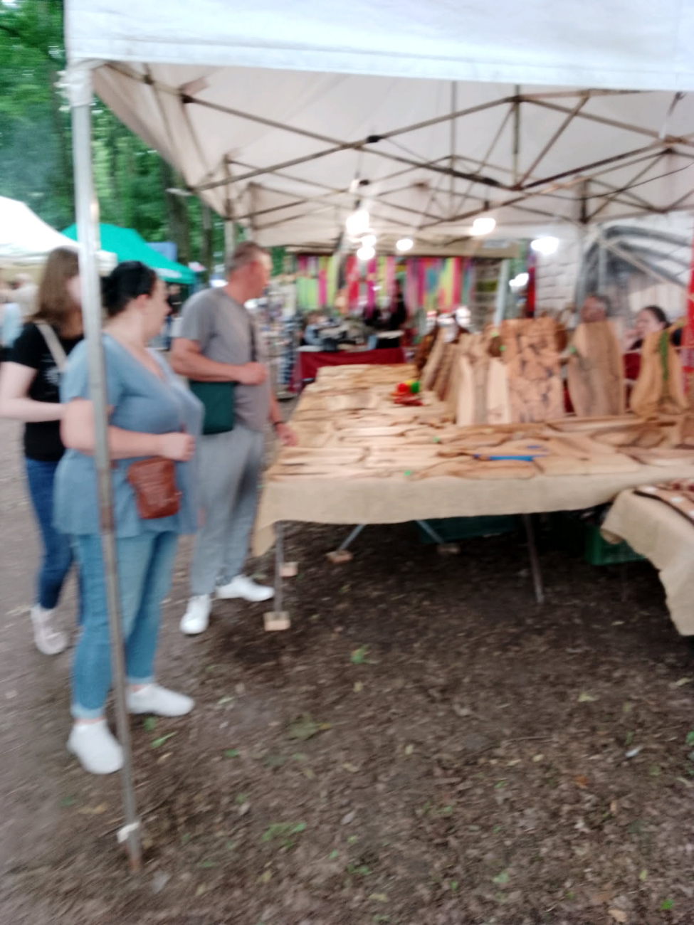 Zapraszają na Festiwal do Lądu
