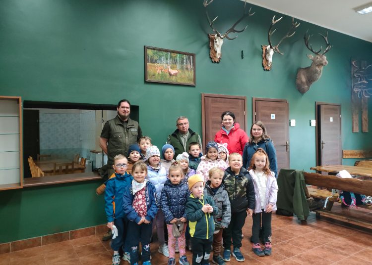 Koszuty w  nadleśnictwie