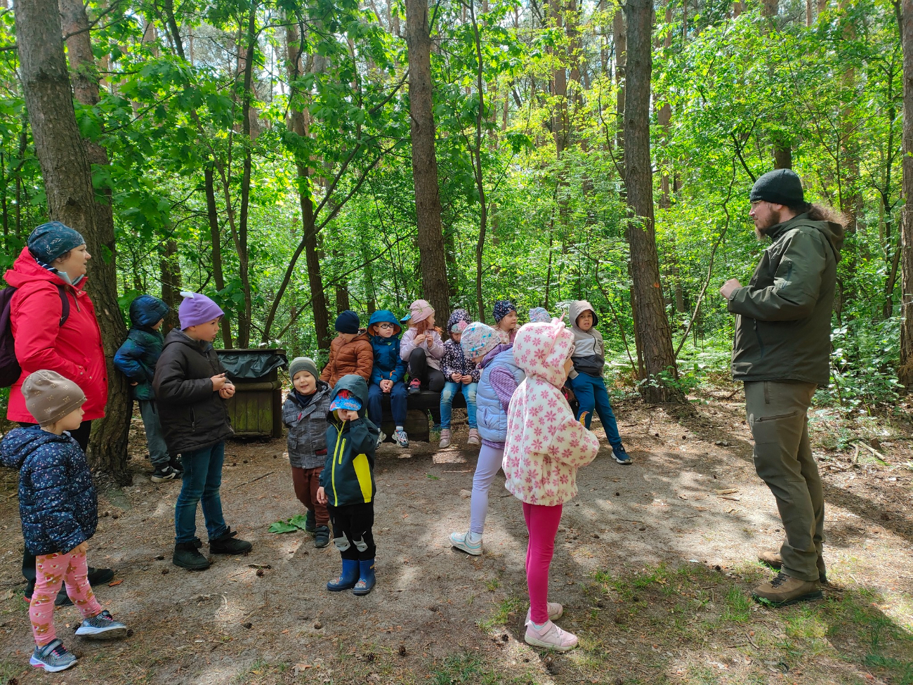 Koszuty w  nadleśnictwie