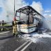 Autobus doszczętnie spłonął