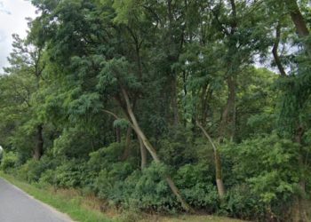 Powiat wystawił na sprzedaż działkę przy jeziorze. Znamy wynik przetargu