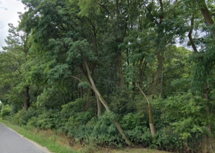 Powiat wystawił na sprzedaż działkę przy jeziorze. Znamy wynik przetargu