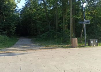 Food trucki promenadzie? „Sprzeczne z koncepcją autora projektu”