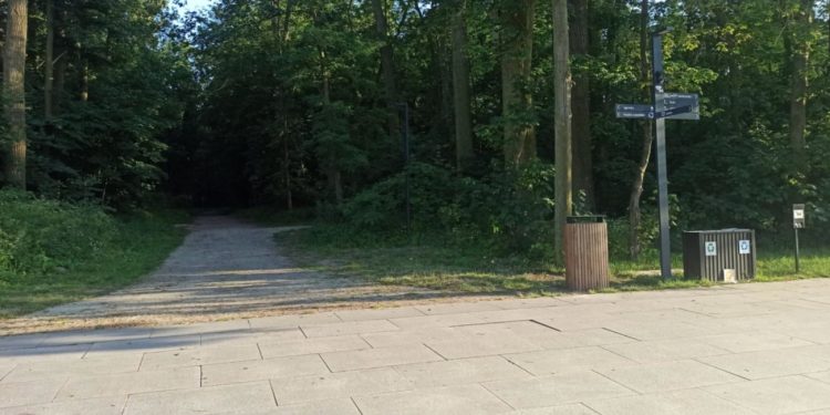 Food trucki promenadzie? „Sprzeczne z koncepcją autora projektu”