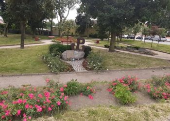 Skwer doczeka się rewitalizacji