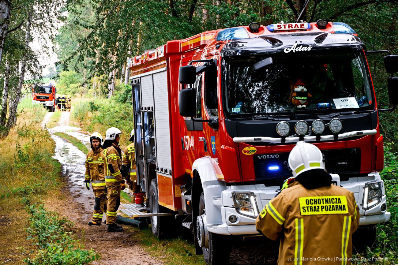 Strażacy w lesie. Działało 10 zastępów