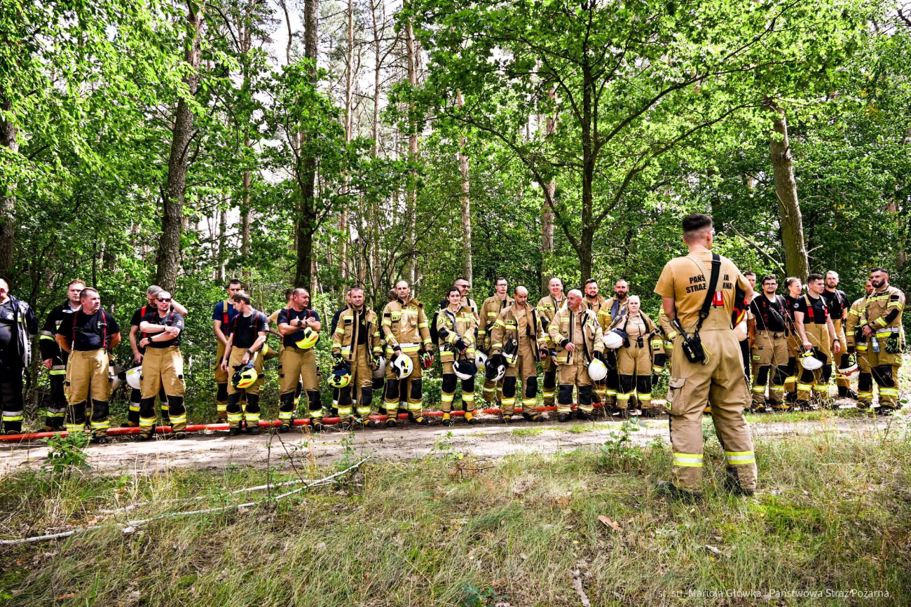 Strażacy w lesie. Działało 10 zastępów