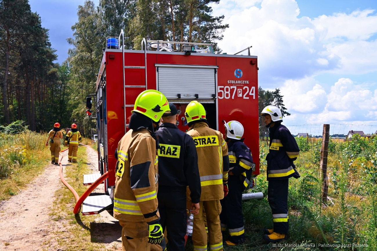 Strażacy w lesie. Działało 10 zastępów