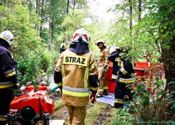 Strażacy w lesie. Działało 10 zastępów