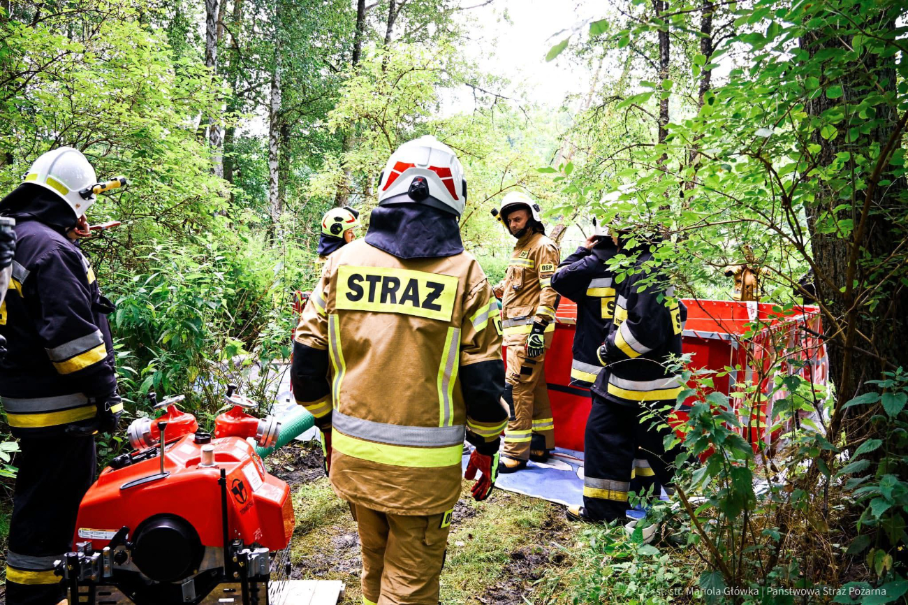Strażacy w lesie. Działało 10 zastępów
