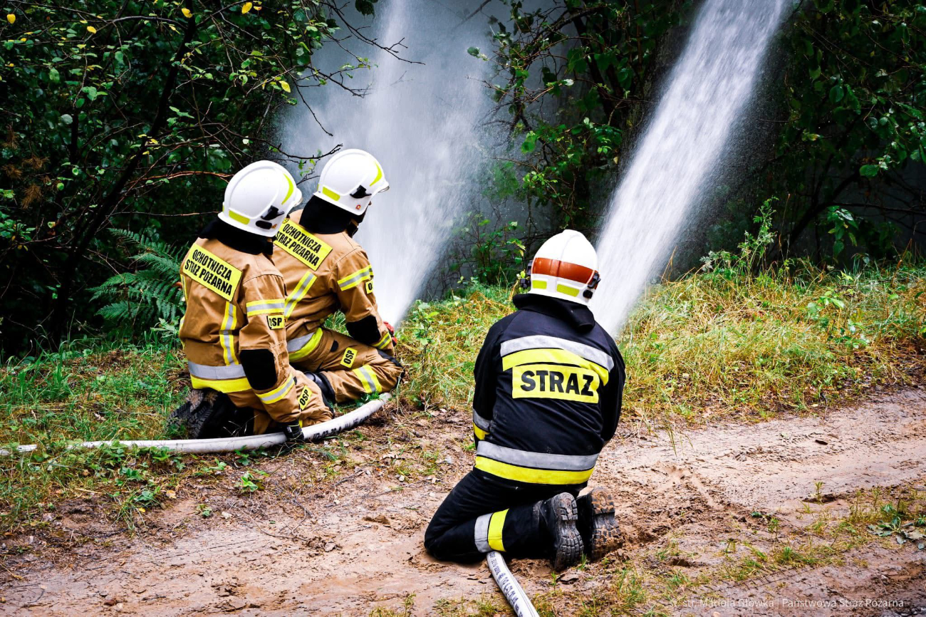 Strażacy w lesie. Działało 10 zastępów