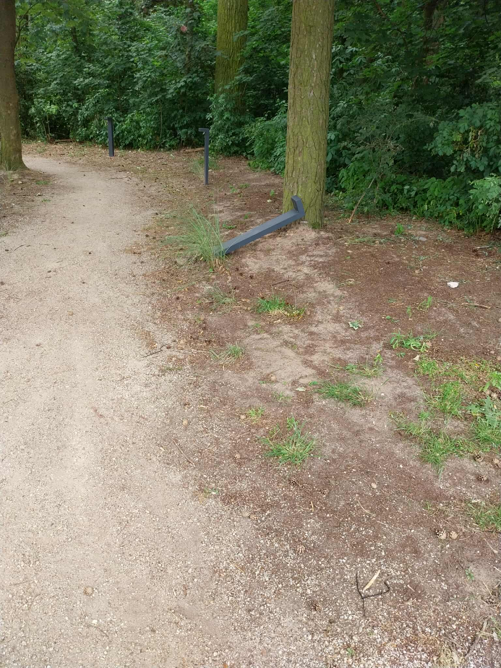 MOSiR apeluje: Nie bójmy się reagować