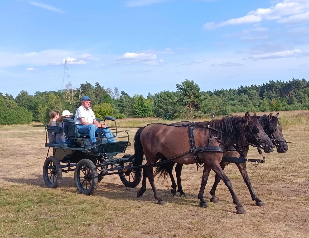 Western Piknik Gółkowo – Borki 5 lipca 2025 r.
