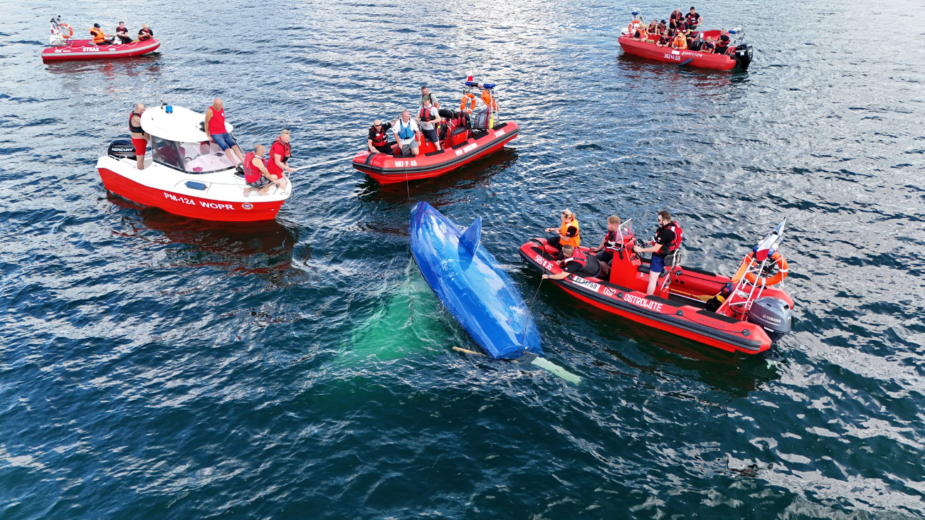 Strażacy w akcji. Podnosili przewróconą łódź