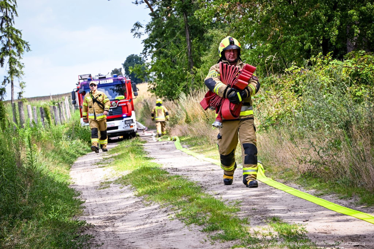 Strażacy w lesie. Działało 10 zastępów