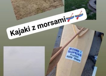 Kajaki z Morsami