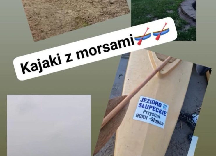 Kajaki z Morsami