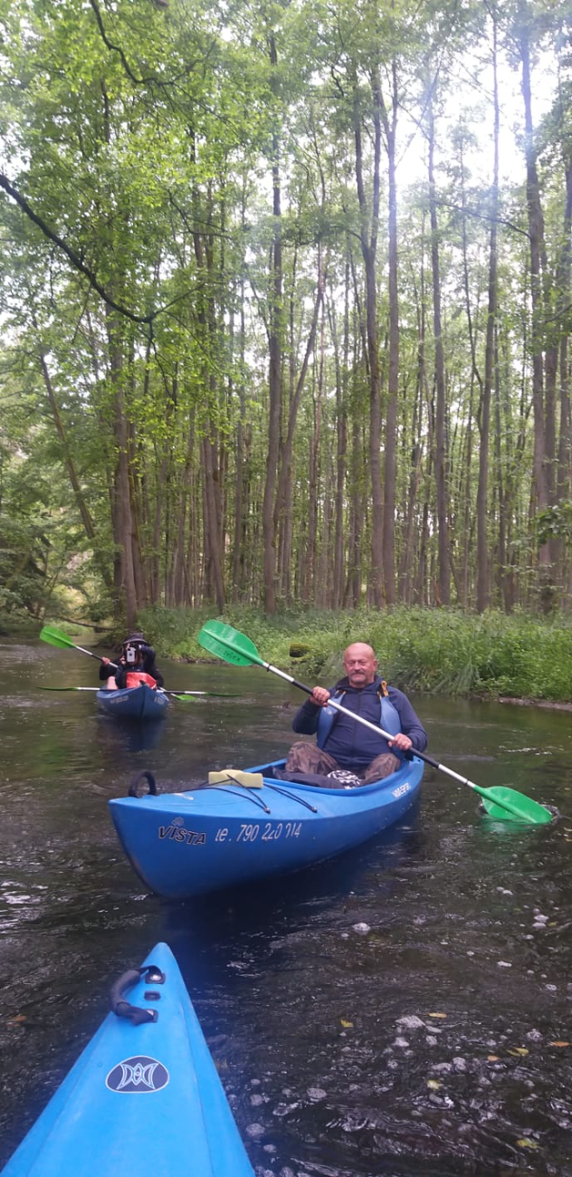 Zimorodki na czterech rzekach