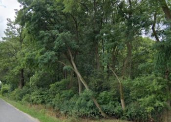 Powiat znowu wystawia działkę na sprzedaż. Teraz można ją kupić taniej