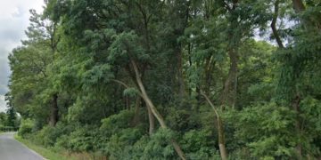 Powiat znowu wystawia działkę na sprzedaż. Teraz można ją kupić taniej