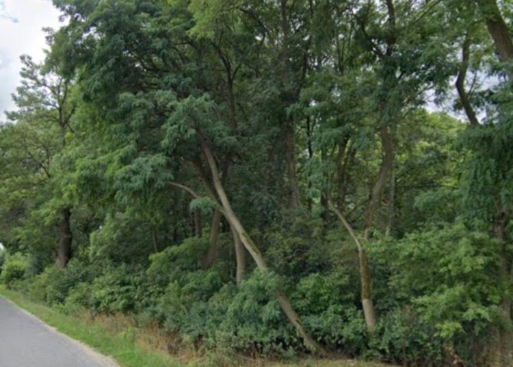 Powiat znowu wystawia działkę na sprzedaż. Teraz można ją kupić taniej