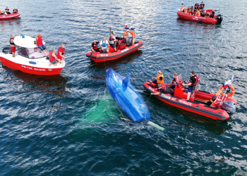 Strażacy w akcji. Podnosili przewróconą łódź