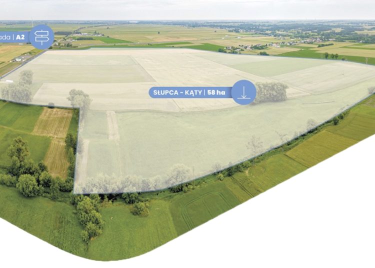 To tutaj chcą przyciągnąć inwestorów