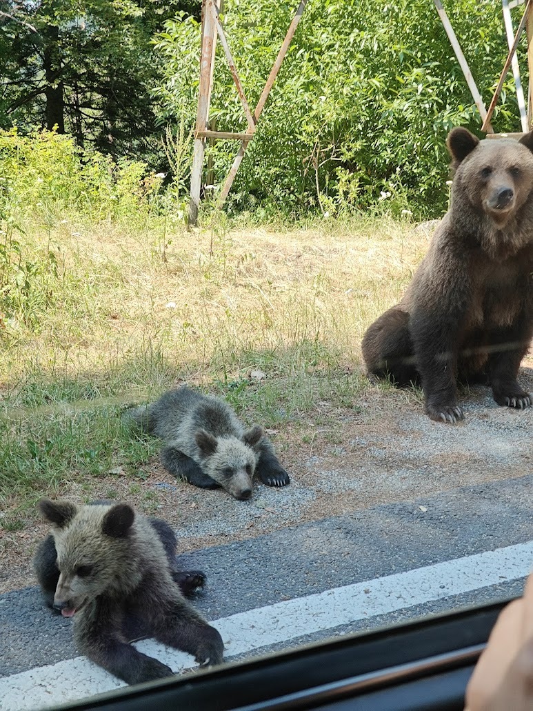 To była podróż życia
