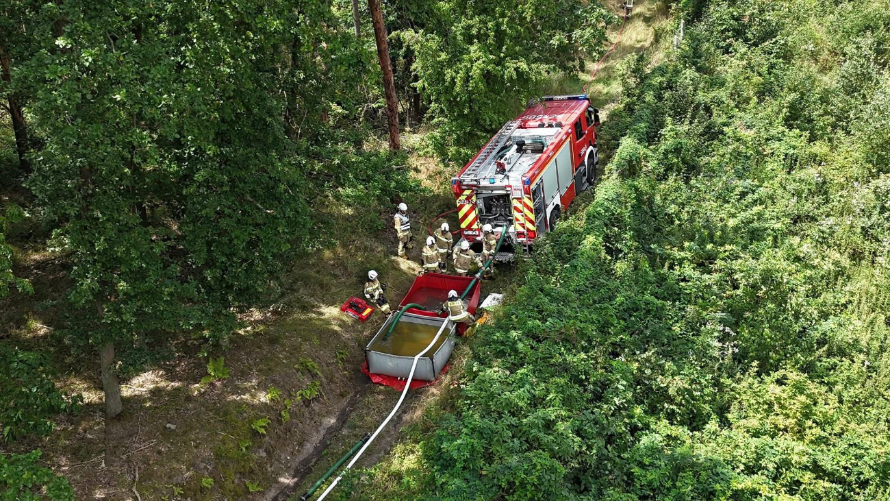Strażacy w lesie. Działało 10 zastępów