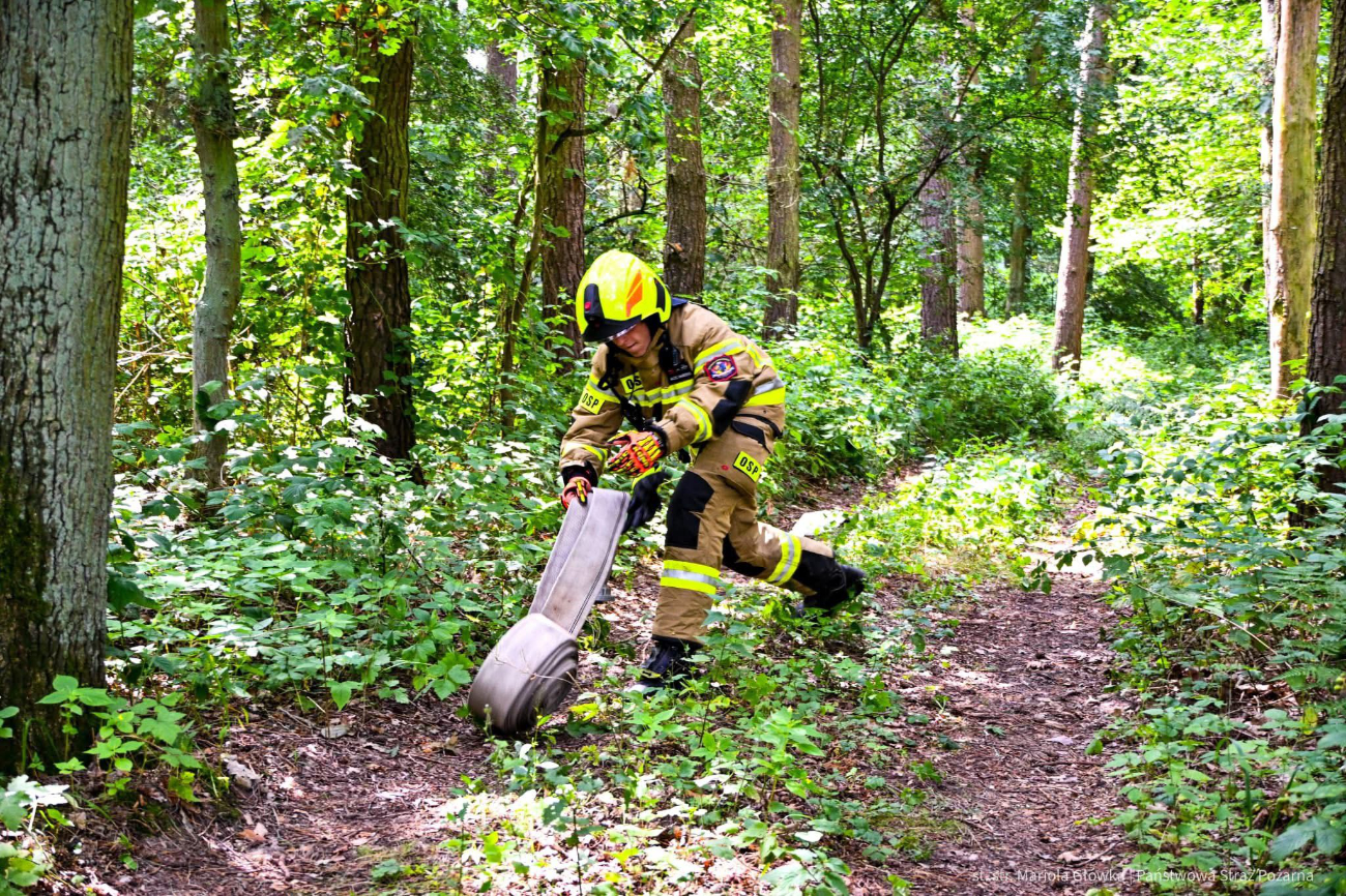 Strażacy w lesie. Działało 10 zastępów