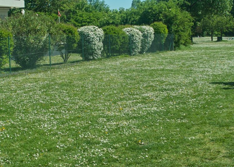 ​Jak i gdzie sprawdzić informacje o działce?