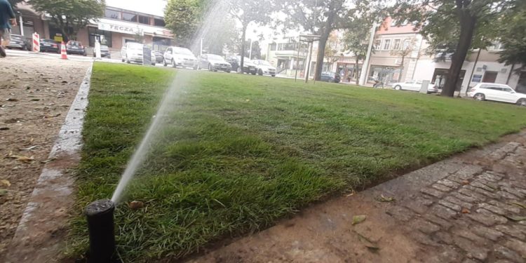 Słupca coraz bardziej zielona