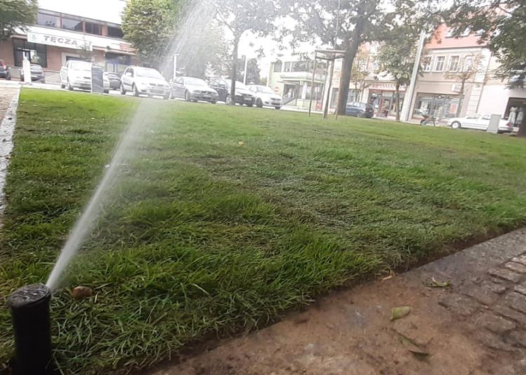 Słupca coraz bardziej zielona